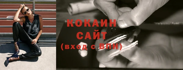 гашик Пересвет