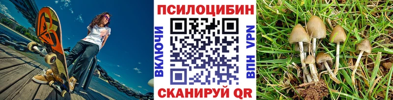Псилоцибиновые грибы GOLDEN TEACHER Бокситогорск